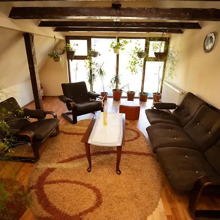 Guest house Pensiunea Craiul Muntilor-ranca